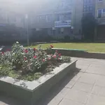 Lejlighed Apartmentai Baltoji Ramune Palanga
