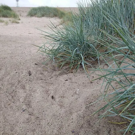 Apartmentai Baltoji Ramune 아파트 팔랑가