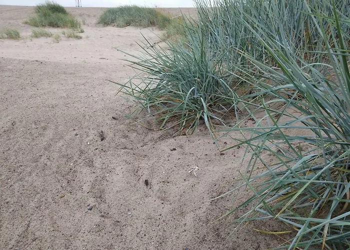 Apartmentai Baltoji Ramune Apartament Połąga